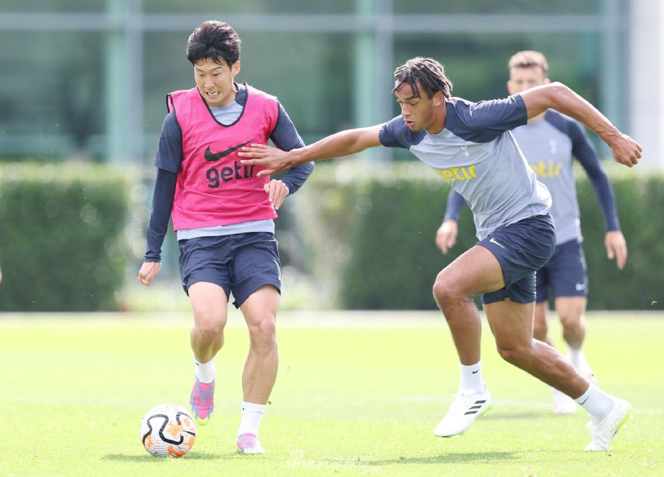 后卫们几乎 后卫们几乎